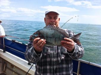 3 lb 3 oz Black Sea Bream by Colin