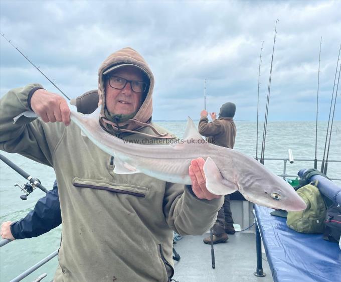 5 lb Smooth-hound by Unknown