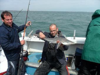 6 lb Smooth-hound by Russ