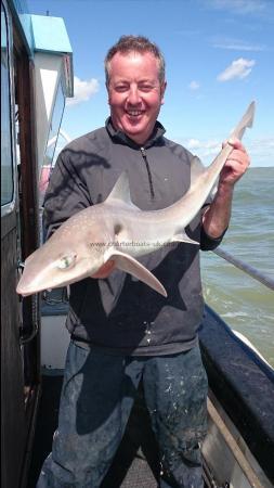 10 lb 2 oz Starry Smooth-hound by John from Broadstairs