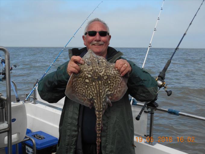 5 lb Thornback Ray by Colin French