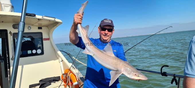 11 lb 6 oz Starry Smooth-hound by Vance