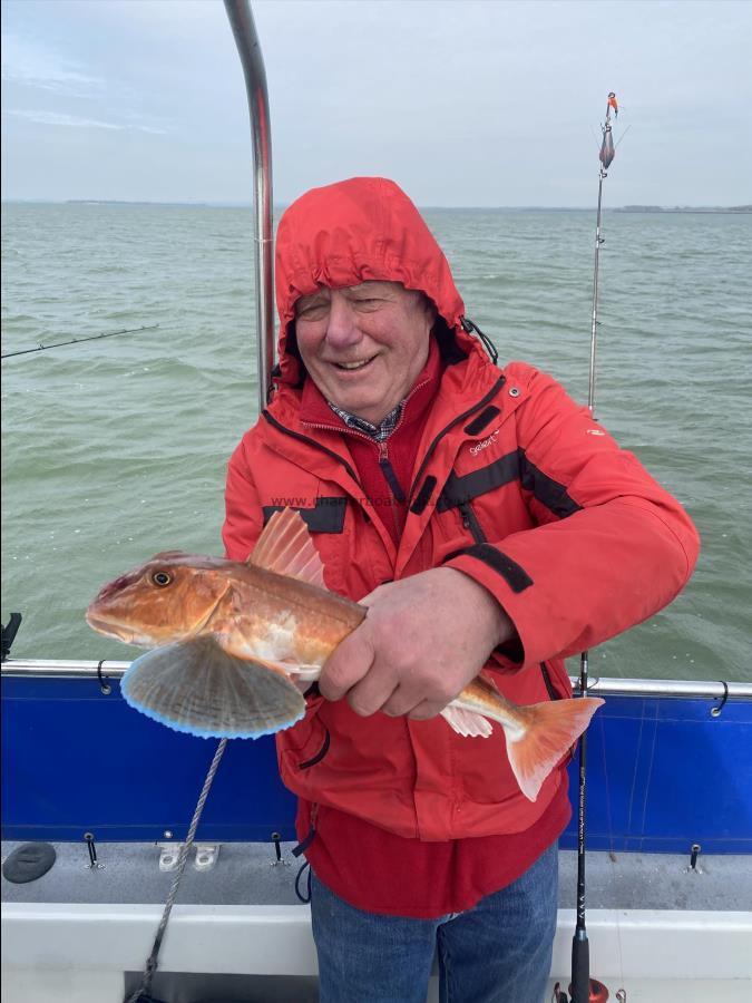 2 lb 4 oz Tub Gurnard by Unknown