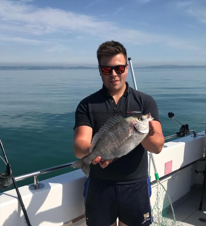 3 lb Black Sea Bream by Unknown