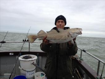 5 lb Cod by Tim the `Tache