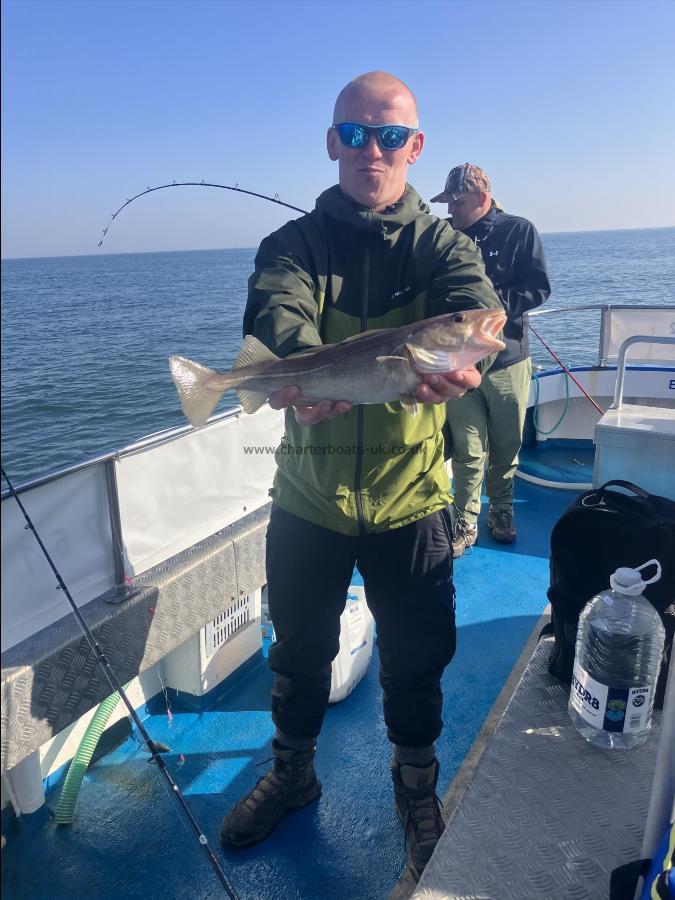3 lb Cod by Unknown