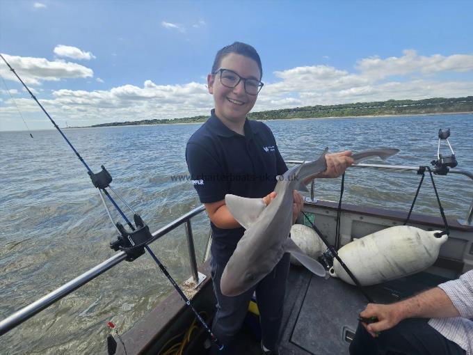 6 lb Smooth-hound by Harry
