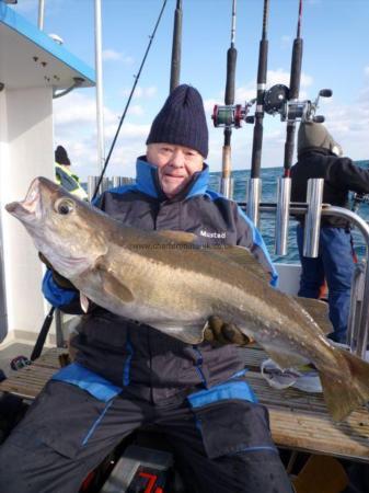 16 lb 8 oz Pollock by John