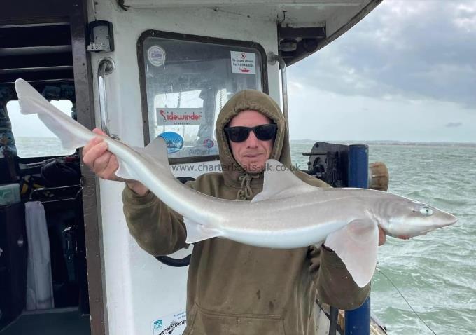 9 lb Smooth-hound (Common) by Unknown