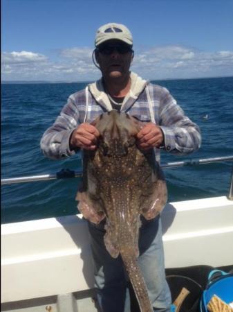 15 lb Undulate Ray by Paul Crossley