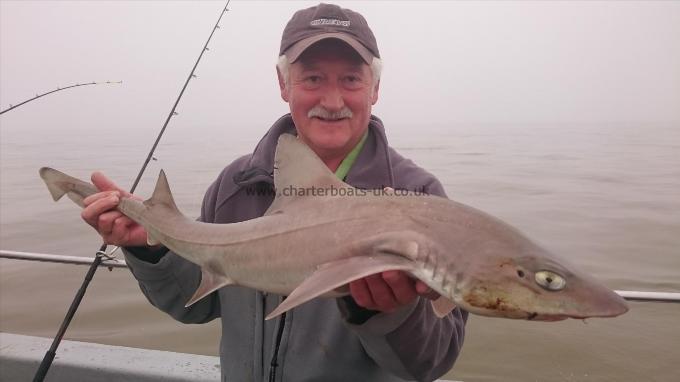 10 lb 5 oz Starry Smooth-hound by Baz