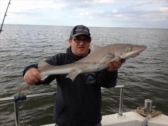 10 lb 7 oz Smooth-hound by Ricky Vogel