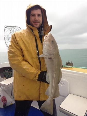 9 lb Cod by Armynas