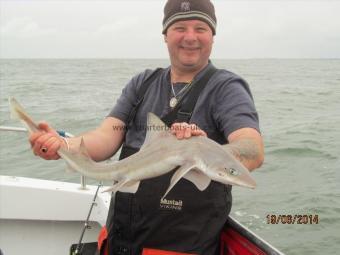 4 lb 5 oz Starry Smooth-hound by John Halliwell