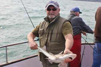 6 lb Starry Smooth-hound by Mick
