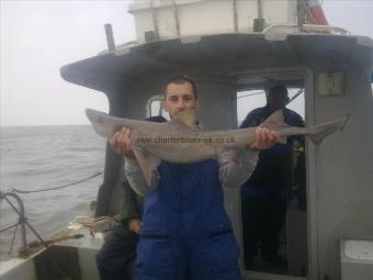 19 lb Starry Smooth-hound by tony le`sauteur