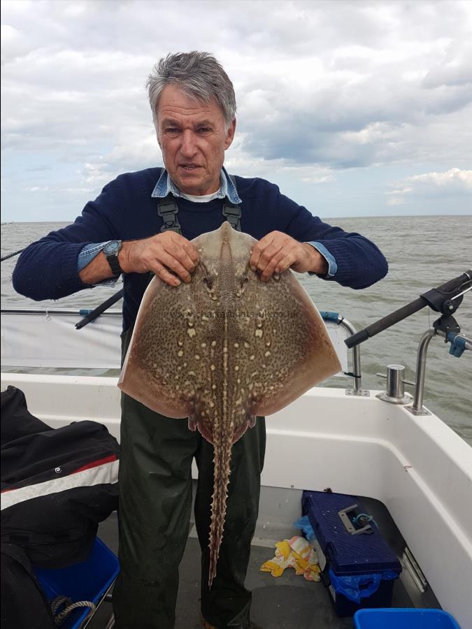 8 lb Thornback Ray by Bernard