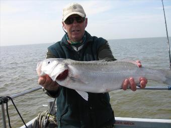 8 lb 2 oz Bass by Phil Chapman