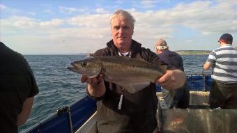 6 lb Pollock by Stephen Wake