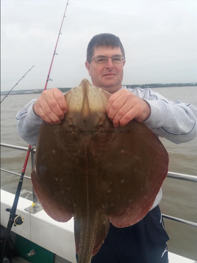 9 lb Small-Eyed Ray by Ken davies