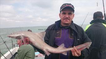 6 lb 12 oz Starry Smooth-hound by Bob Marshall