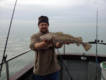 7 lb Cod by Gnasher from Essex