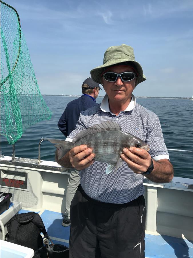 2 lb 6 oz Black Sea Bream by Paul K