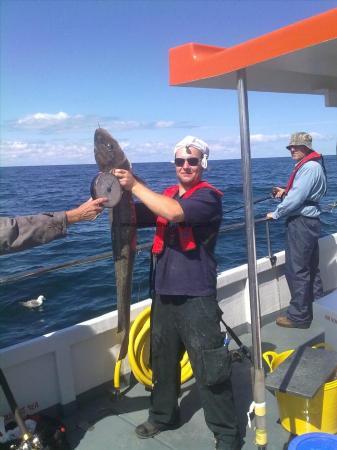 25 lb Ling by Unknown
