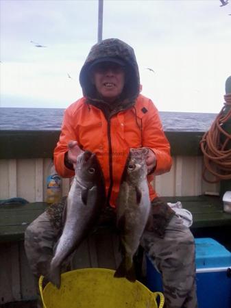 2 lb Coalfish (Coley/Saithe) by John Twidale