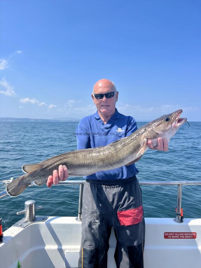 7 lb Ling by Norman Taylor
