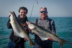 13 lb Pollock by Darren Herbert and Dave Budden