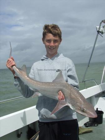 12 lb 8 oz Smooth-hound (Common) by dan criag