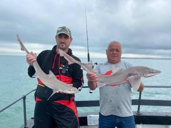 8 lb Smooth-hound by Unknown