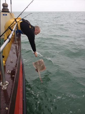 7 lb Thornback Ray by John `Put `em back`