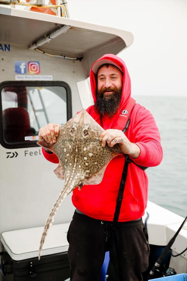 5 lb Thornback Ray by Ed Hollyoake