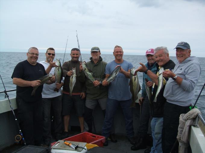 5 lb Pollock by Happy Chaps