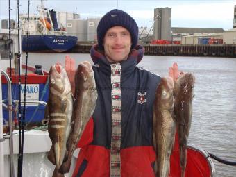 3 lb Cod by Matthew Bensley