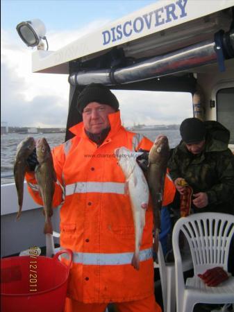 3 lb Cod by Unknown