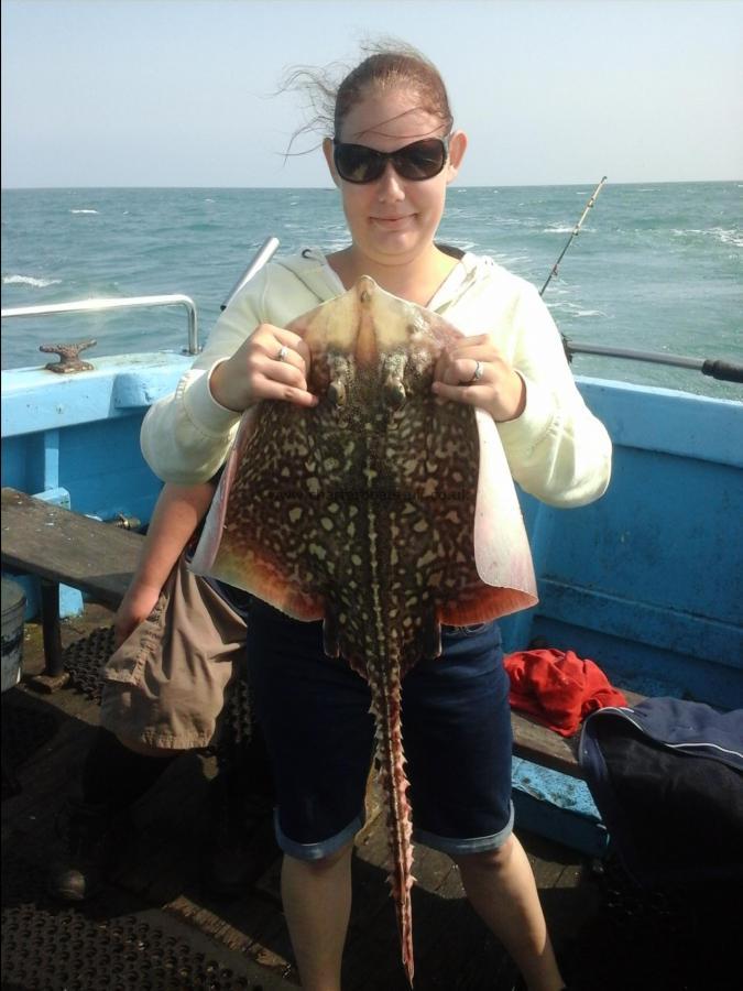 7 lb Thornback Ray by Individual day