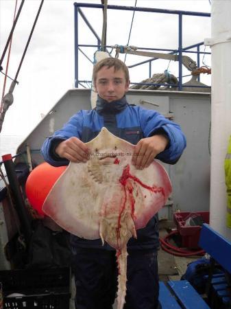 7 lb Thornback Ray by Callum