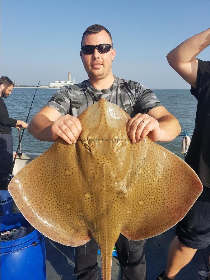 18 lb 6 oz Blonde Ray by Unknown