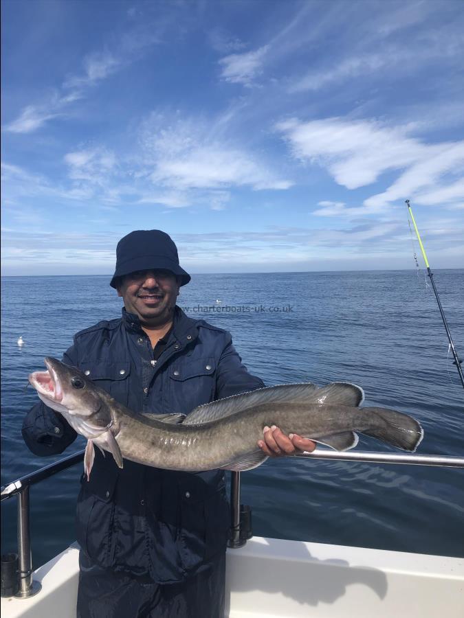 5 lb Ling by Unknown