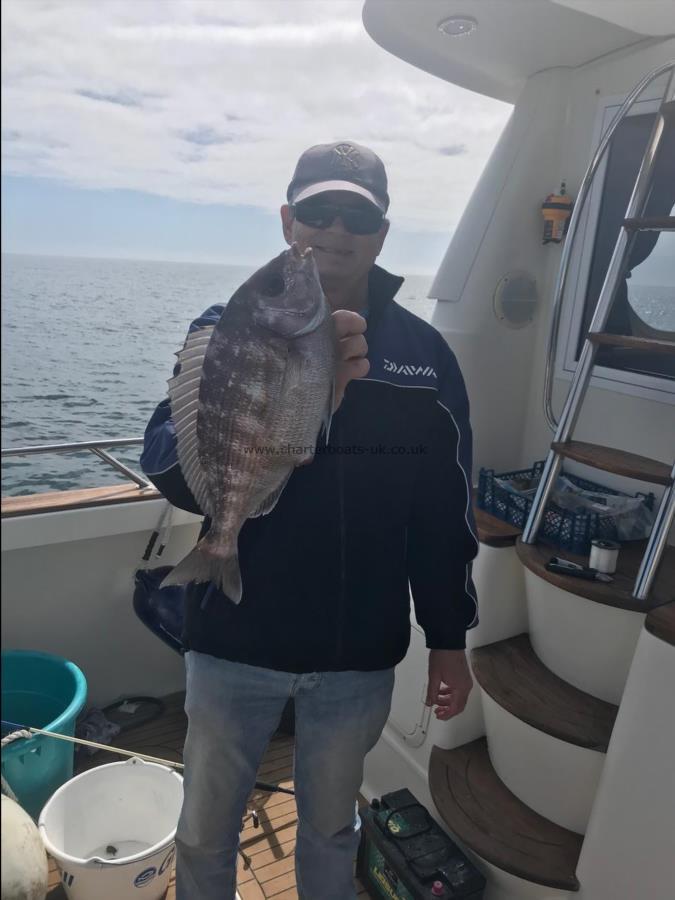 3 lb 2 oz Black Sea Bream by Unknown