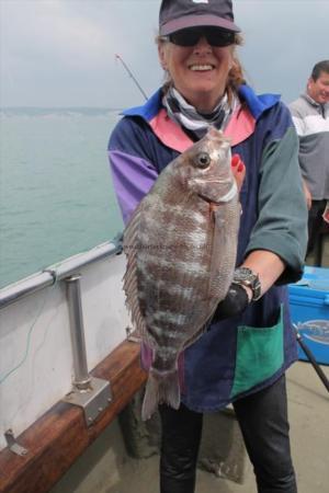 3 lb 8 oz Black Sea Bream by Dee