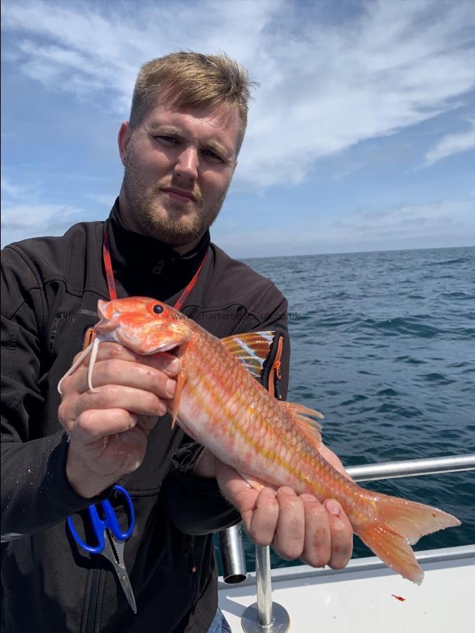 1 lb Red Mullet by Kevin McKie