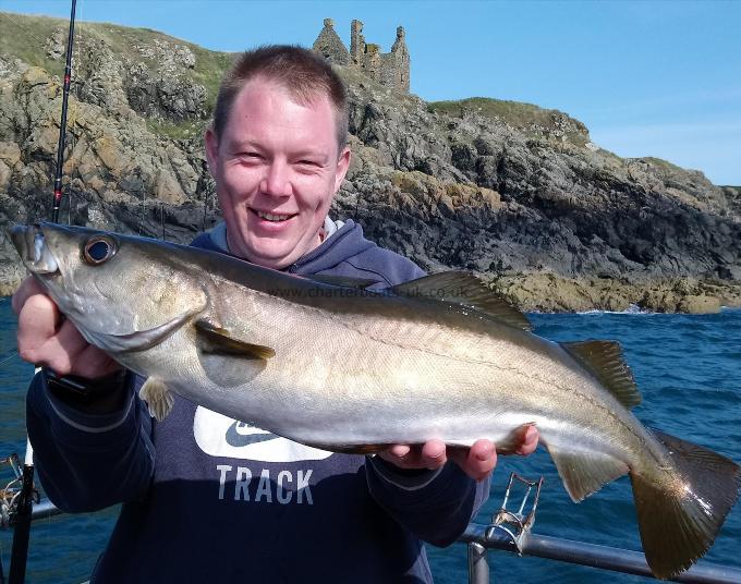 7 lb 8 oz Pollock by john