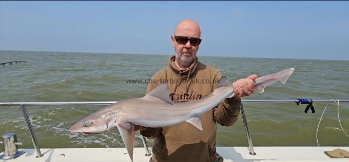 9 lb 4 oz Starry Smooth-hound by Gary