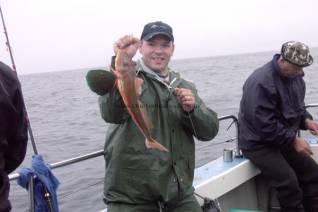 2 Kg Tub Gurnard by Unknown