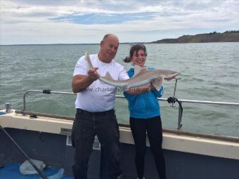 6 lb Smooth-hound (Common) by Kayleigh