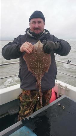 5 lb Thornback Ray by Bob Marshall